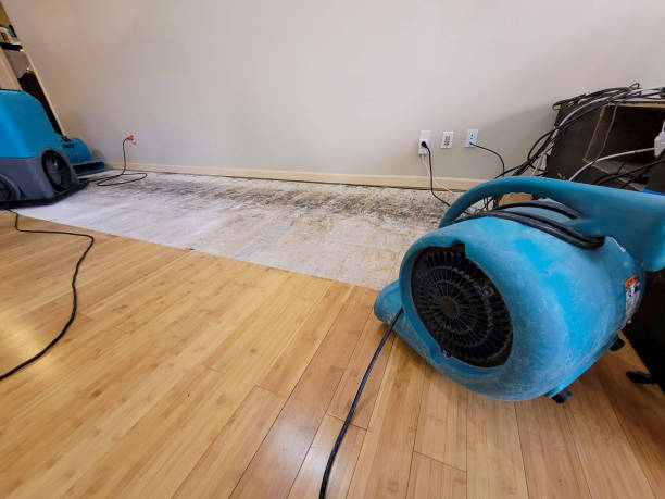 Professional Flood Damage Cleanup technician working in Decker, MI